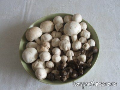 bureti si ciuperci albe conservate in otet