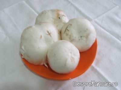 Ciuperci albe, proaspete, pentru ciulama din piept de pui si ciuperci.