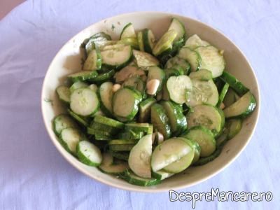 Salata de castraveti pentru ghiveci de legume mediteranian cu piept de curcan.