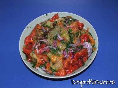 Salata de ardei copti, cu ceapa pentru fleica de porc cu sorici, la gratar, cu paste fainoase.