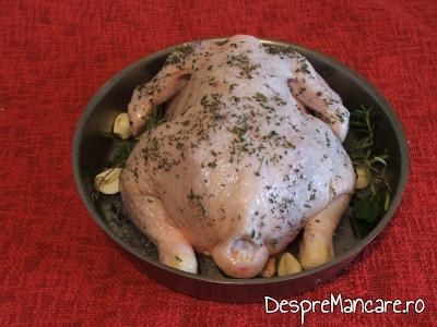 Puiul asezonat cu sare grunjoasa si cimbru uscat asezat in tava de copt pentru pui la cuptor cu orez in sosul de la pui.