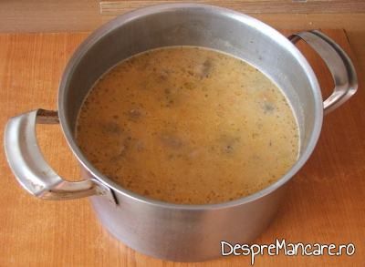 Amestec de legume si ciuperci calite, fierte impreuna in cateva clocote,apoi mixat pentru supa crema de ciuperci.