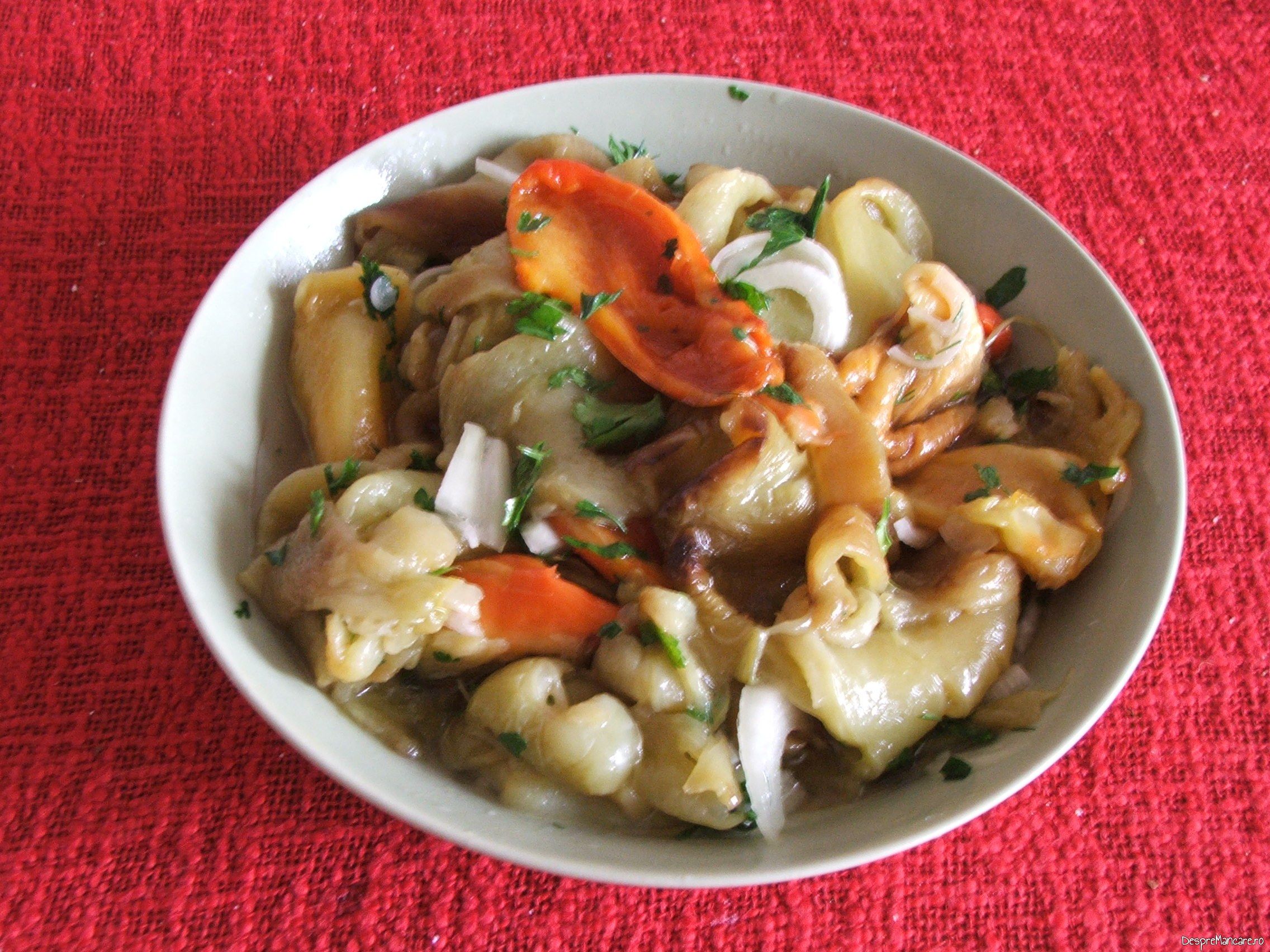 Salata de ardei copti, cu ceapa servita la friptura de pui/ curcan, cu garnitura de chiftelute din legume, la cuptor.