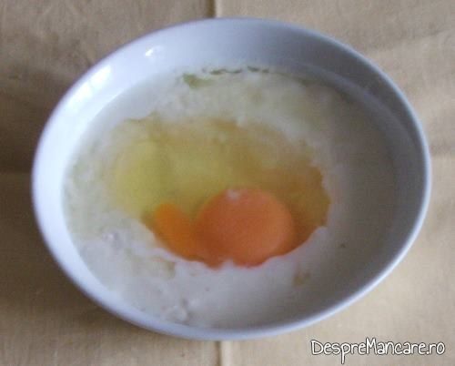 Incorporare ou de gaina in amestecul de lapte dulce si smantana pentru paste caneloni umplute cu branza.