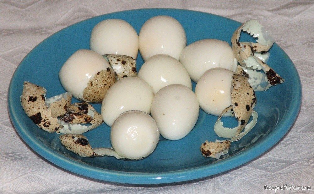 Cocktail de ouă de prepelit pentru potență - Confecție