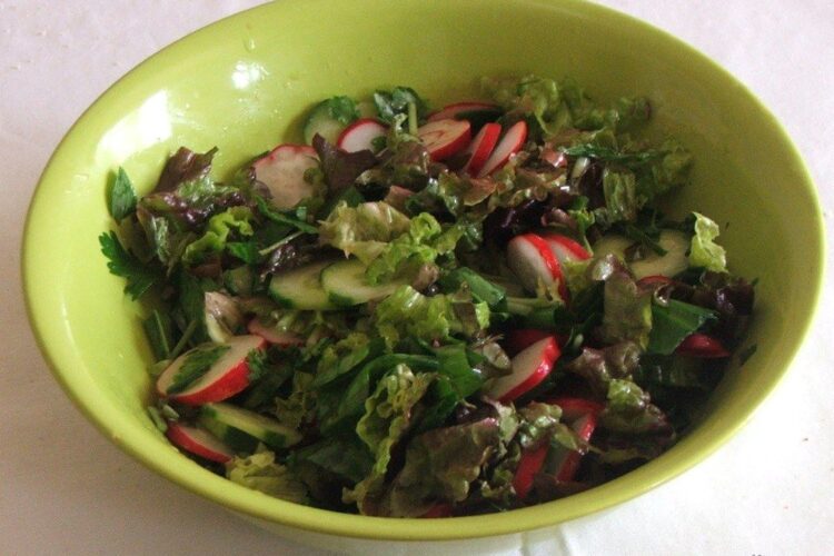 Salata asortata de sezon, pentru piept de rata cu urzici batute.