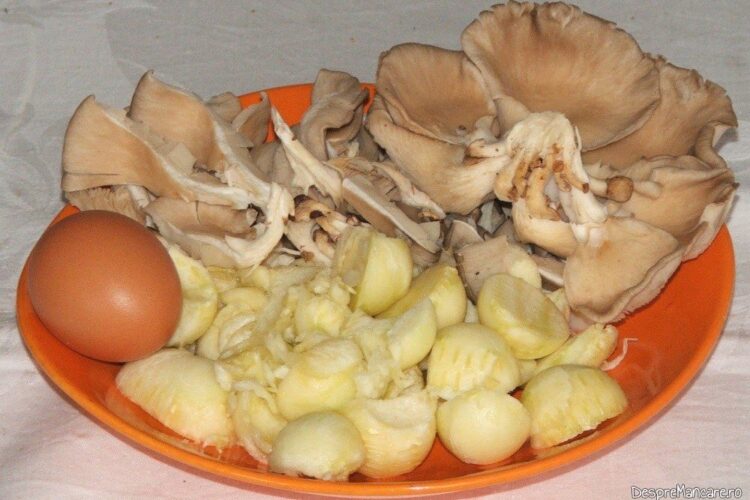 Ingrediente folosite la dovlecei umpluti cu praz si ciuperci.