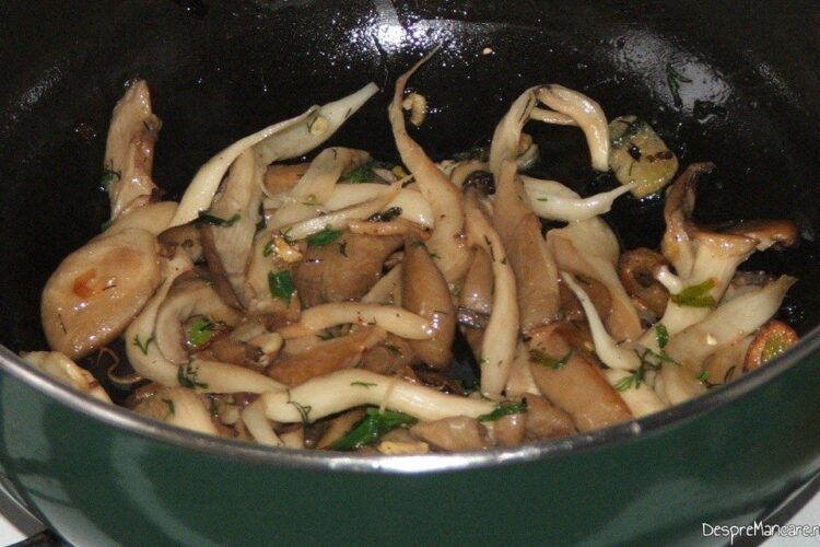 Ciuperci calite pentru pane' din limba de vaca cu ciuperci si prosciuto.