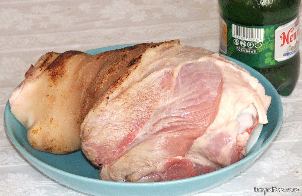 Ciolan proaspat, de porc pregatiti pentru fierbere in bere.