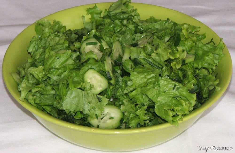 Salata de sezon servita la tartite de curcan cu mancare de bame.