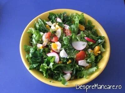 Salata verde cu leurda, ridichi si ou fiert se serveste la gusa de curcan umpluta cu 3 feluri de carne.
