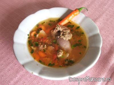 ciorba de berbecut 2