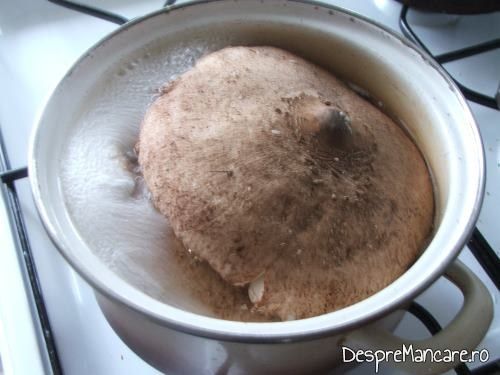 Oparire ciuperci in apa fierbinte cu sare pentru pane' de nane.