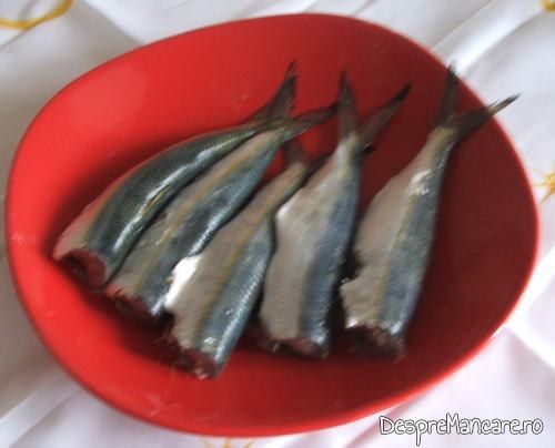 Peste curatat si sters cu o carpa uscata pentru preparat sardine cu ciuperci, la tigaie.