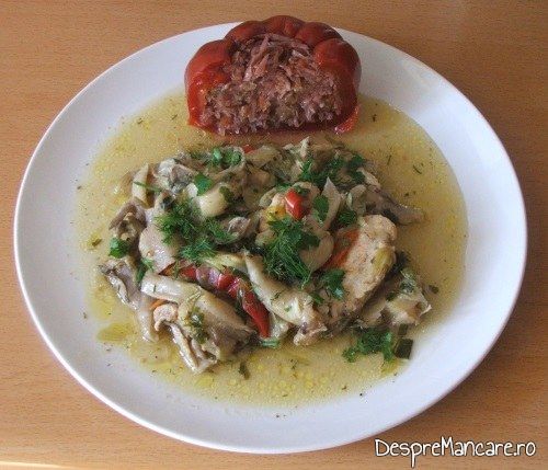 tocanita din piept de pui praz si pleorotus 11