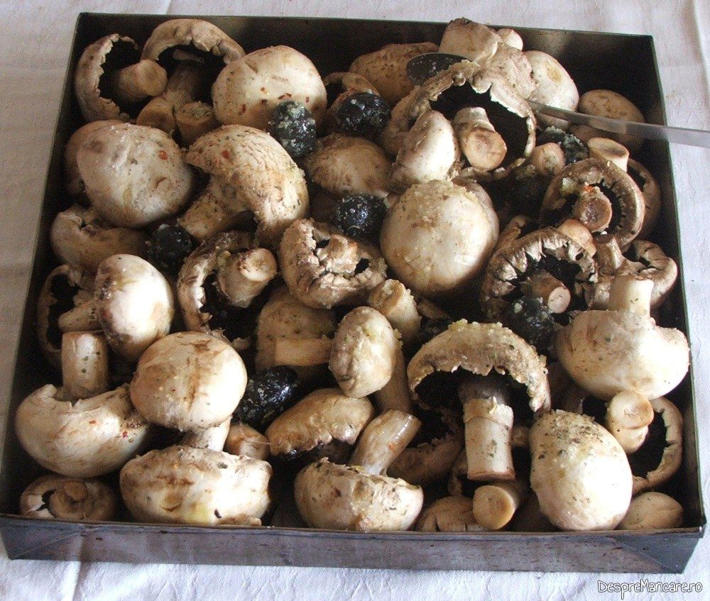 Ciuperci proaspete pentru placinta cu ciuperci.