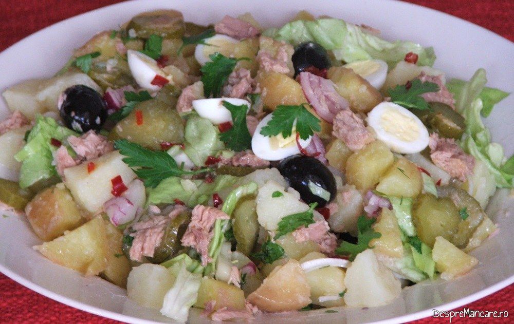 Salata orientala cu ton si oua de prepelita - preparatul este gata pentru a fi servit.