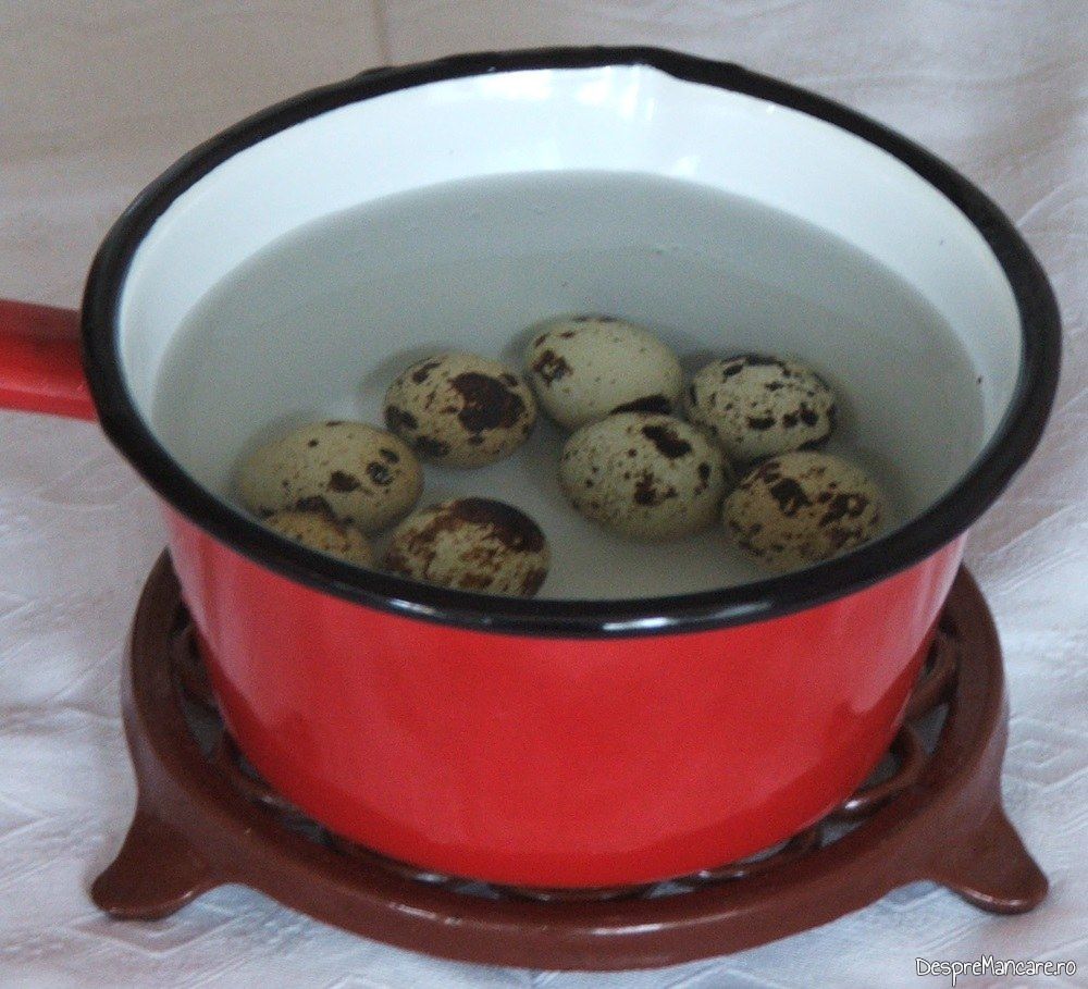 Oua de prepelita fierte, puse in apa rece pentru crearea unui soc termic in vederea decojirii rapide.