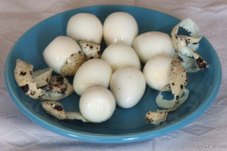 Oua de prepelita fierte care se decojesc pentru salata orientala cu ton si oua de prepelita.