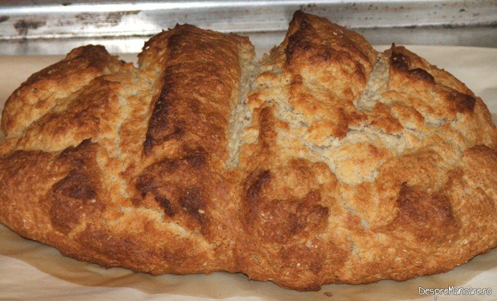 paine de casa cu iaurt si praf de copt 10