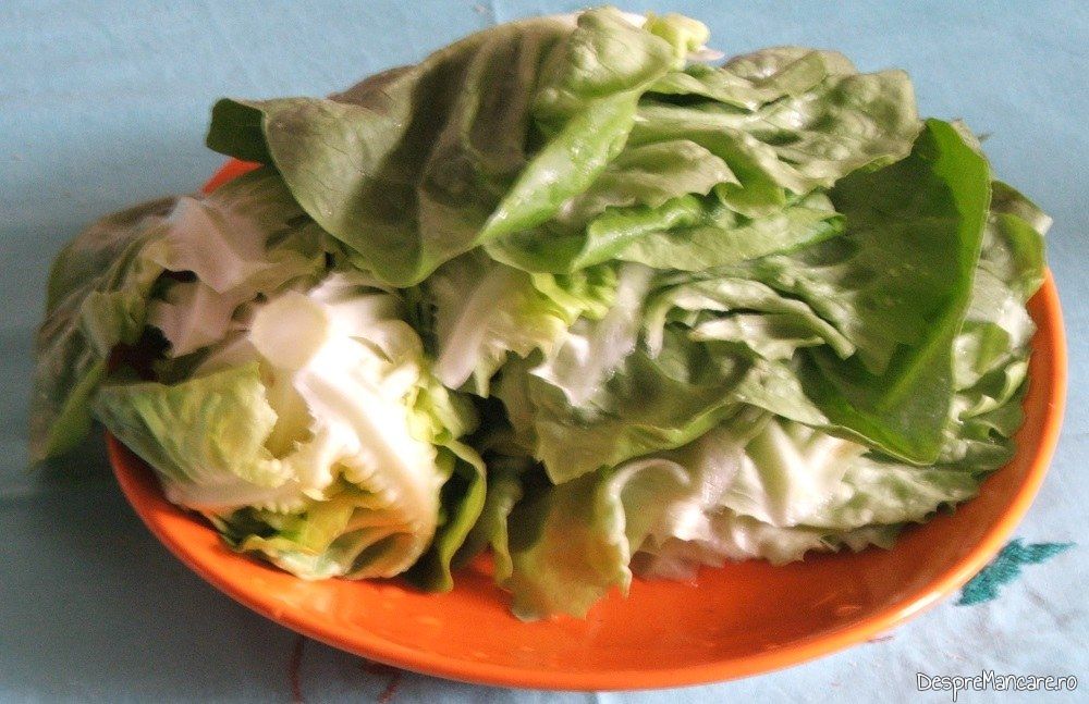 Foi de salata verde pentru ciorba de salata cu perisoare si omleta.