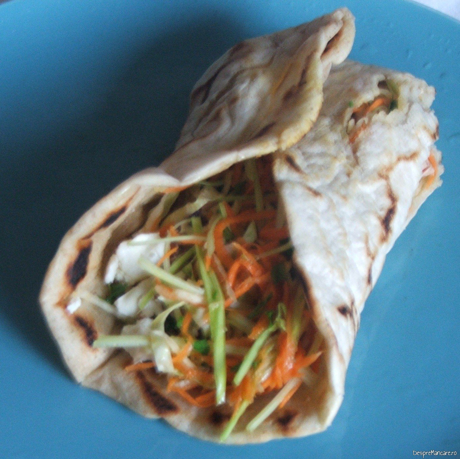 lipie umpluta cu legume carne si branza 5 Copy