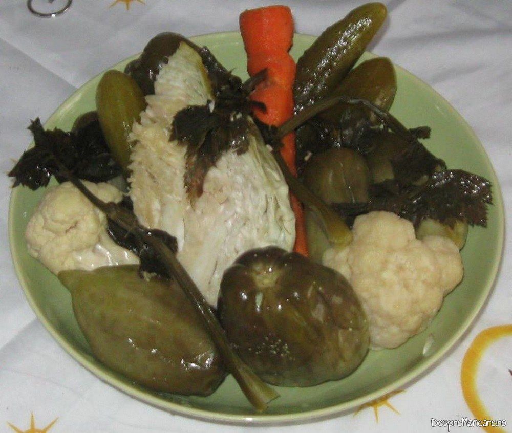 Muraturi taranesti servite la oua de prepelita in cuib de carne tocata.