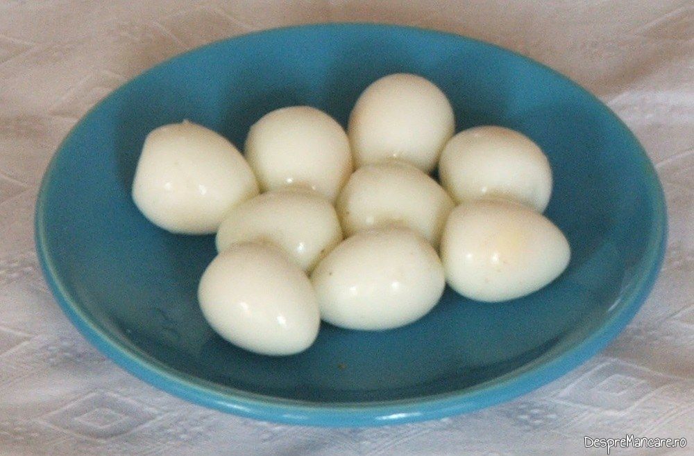 Oua de prepelita, fierte si decojite, pregatite pentru a fi puse in cuiburi de carne tocata.