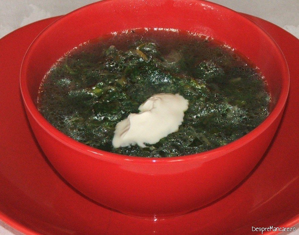 ciorba de urzici cu leurda si smantana 12