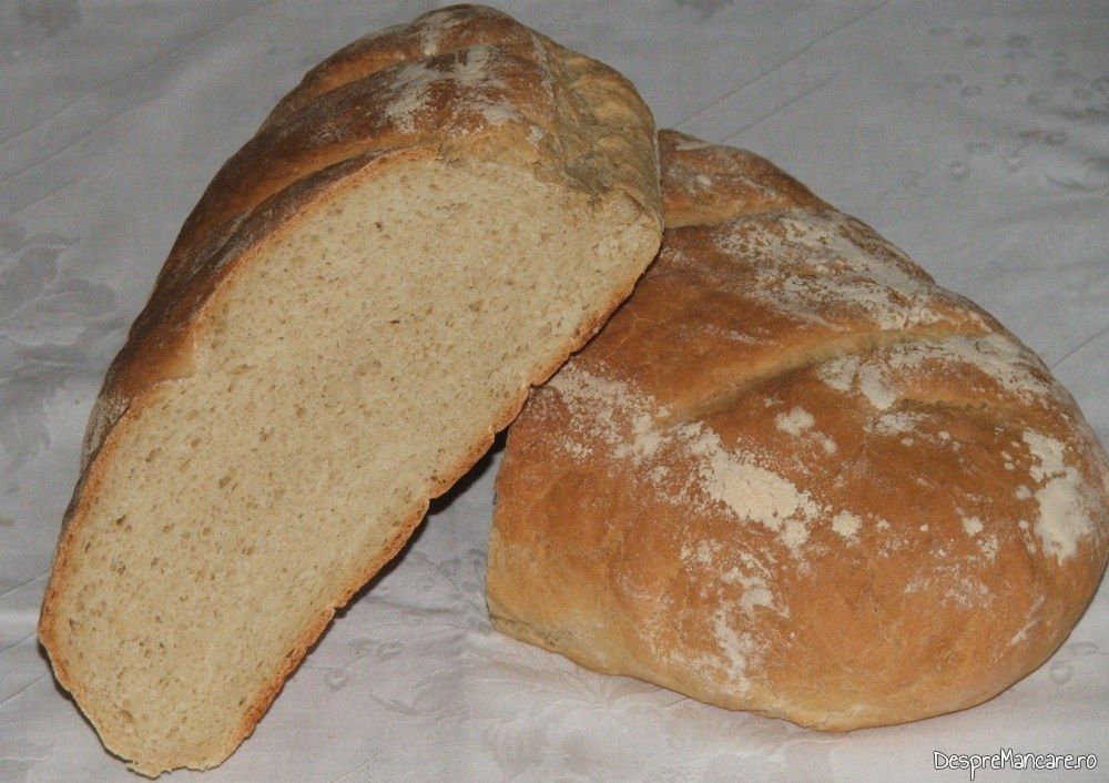 paine simpla de casa 12