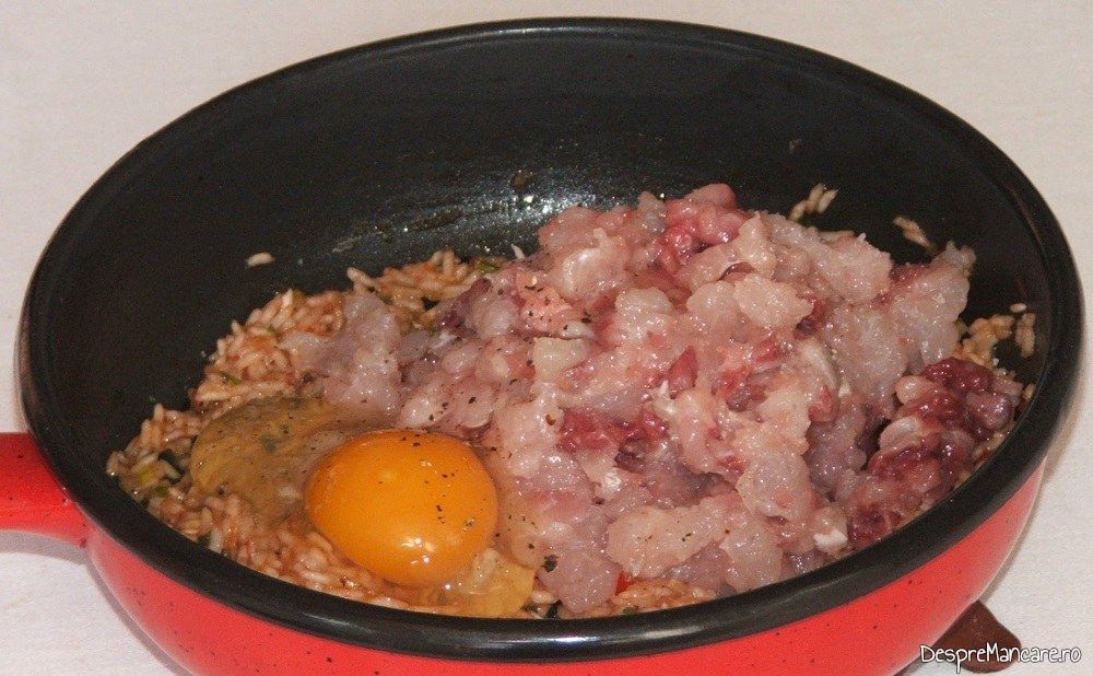 Calire carne de peste impreuna cu ceapa si orez. Adaugare oua de gaina in compozitie.