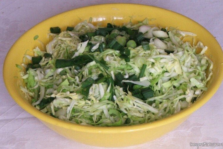 Salata de varza noua servita la vrabioara de vitel inabusita cu cartofi zdrobiti, la cuptor.