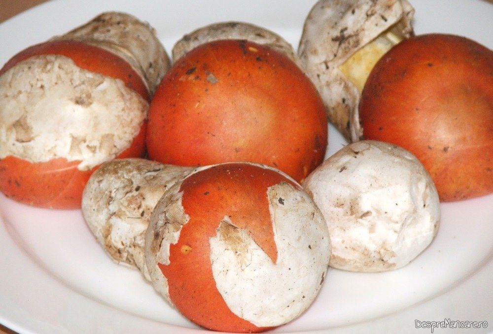 Craite folosite pentru ciuperci trase in unt servite pe paine prajita.