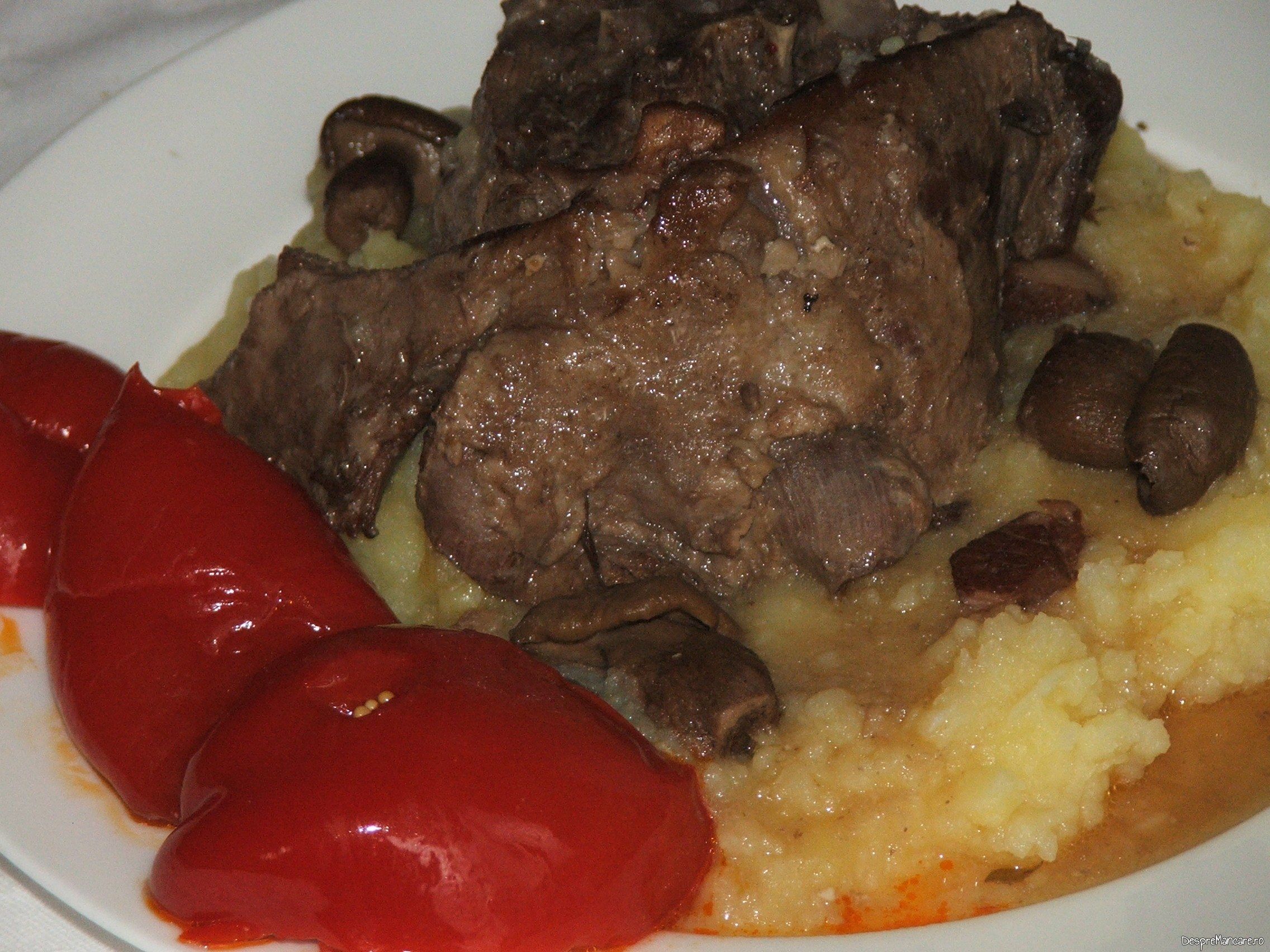 osso buco din gat de oaie cu piure de cartofi 14