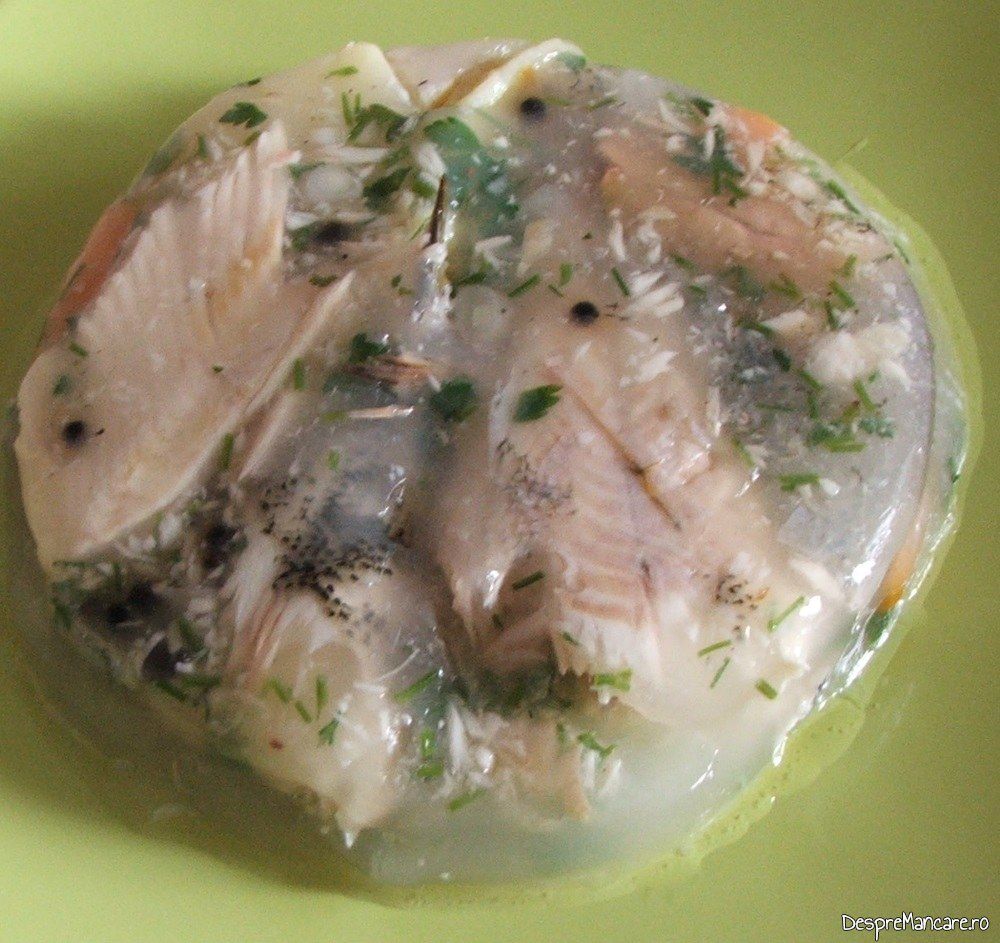 stiuca in aspic 10