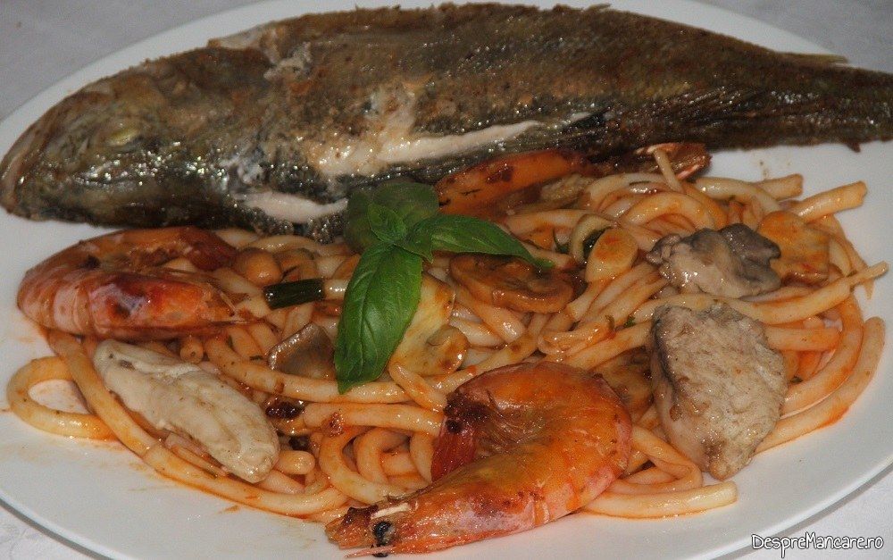 macaroane in sos de rosii cu ciuperci cu biban icre si lapti prajite 9