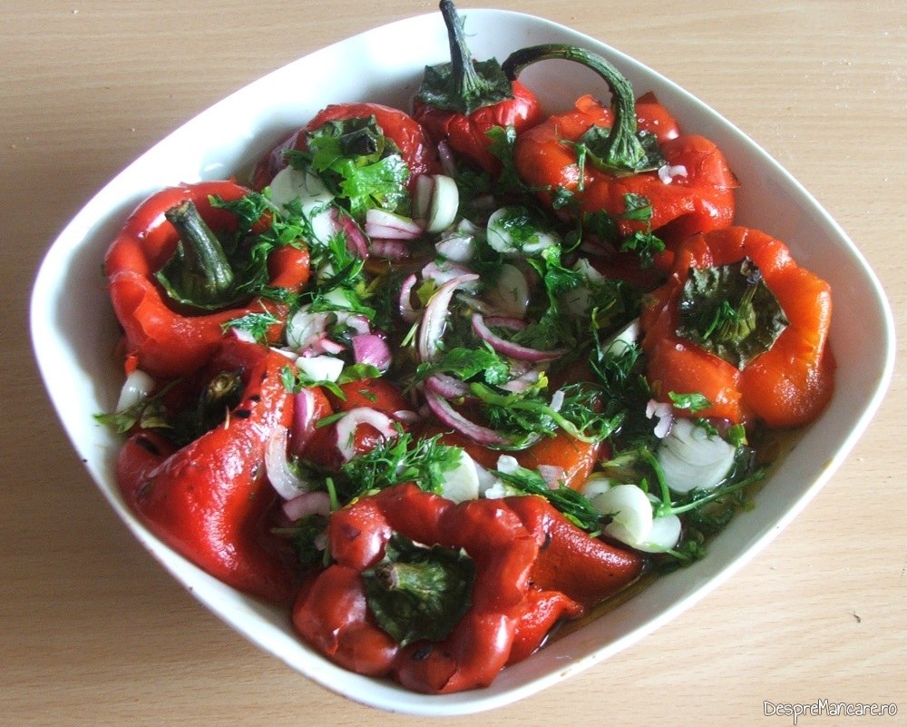 salate cu ardei copti castraveti ceapa usturoi Copy 9