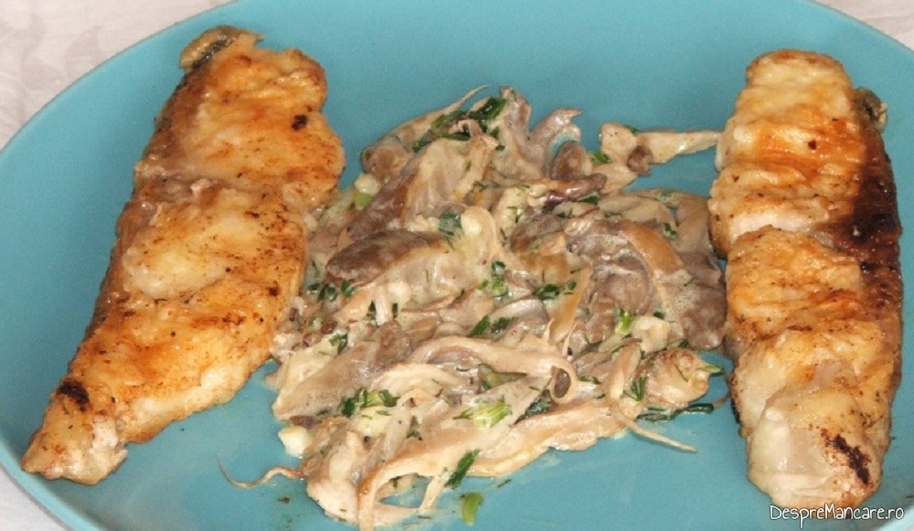 file de fitofag prajit cu ciuperci pleorotus trase in unt 5 Copy