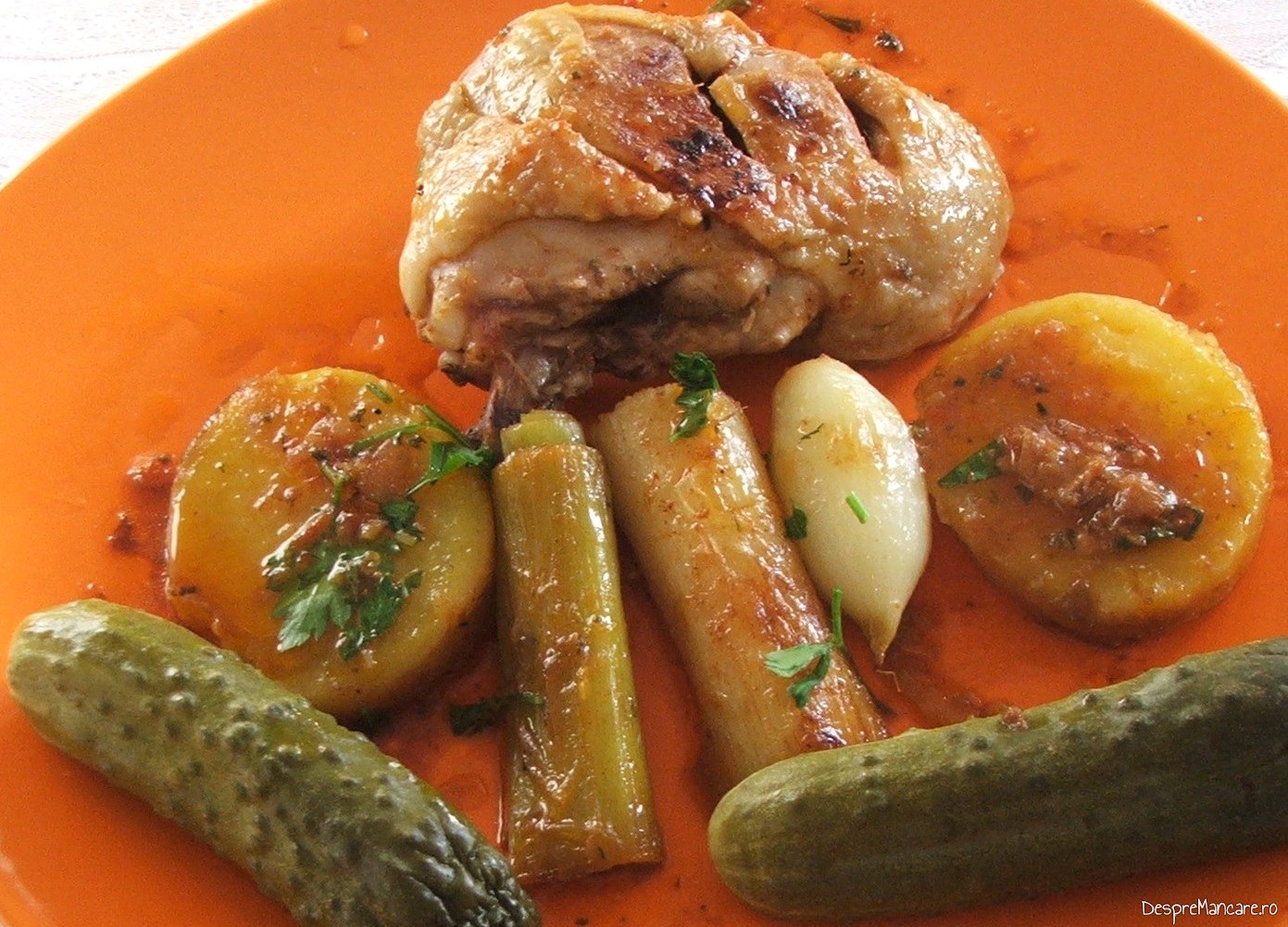 pulpe de pui in sos de praz si curry 2 Copy 3