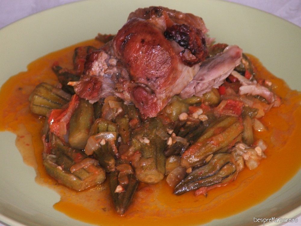 ciotoi de curcan la cuptor cu garnitura de bame 14