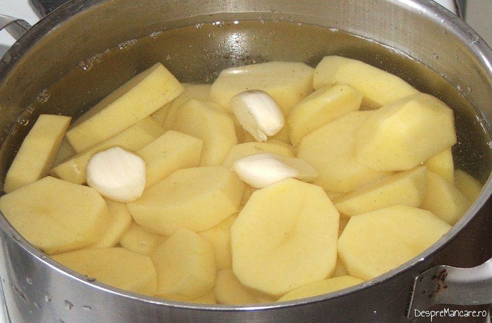 pulpe superioare de pui macerate in iaurt apoi coapte cu piure de cartofi 3