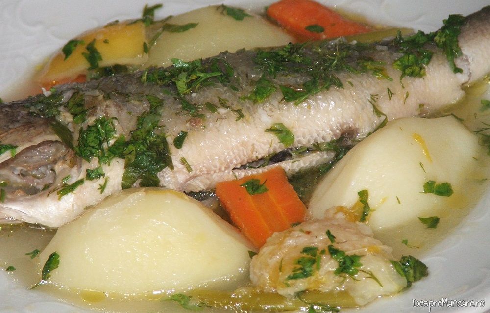 rasol din biban salbatic 5