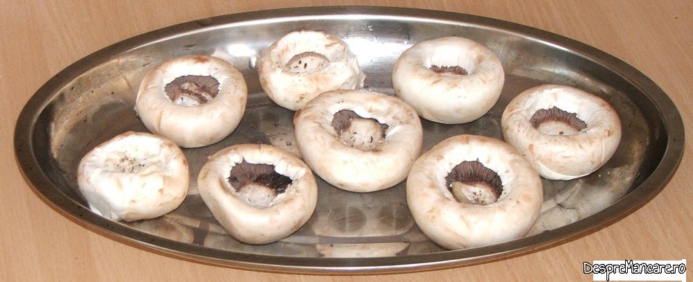 ciuperci albe umplute cu gorgonzola la cuptor 2