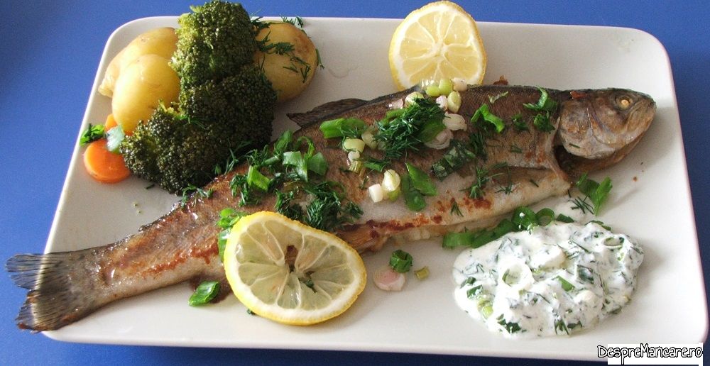 pastrav prajit cu salata de brocoli si mujdei 1 Copy