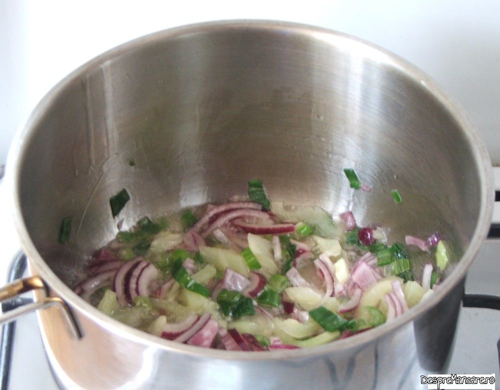 ciorba din platica acrita cu macris 1