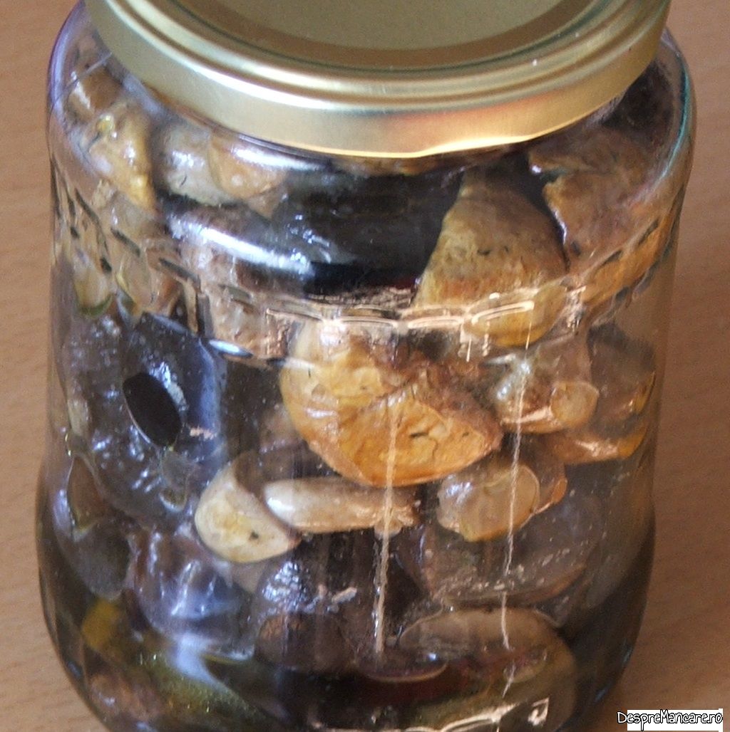 ciuperci cu masline la cuptor 8