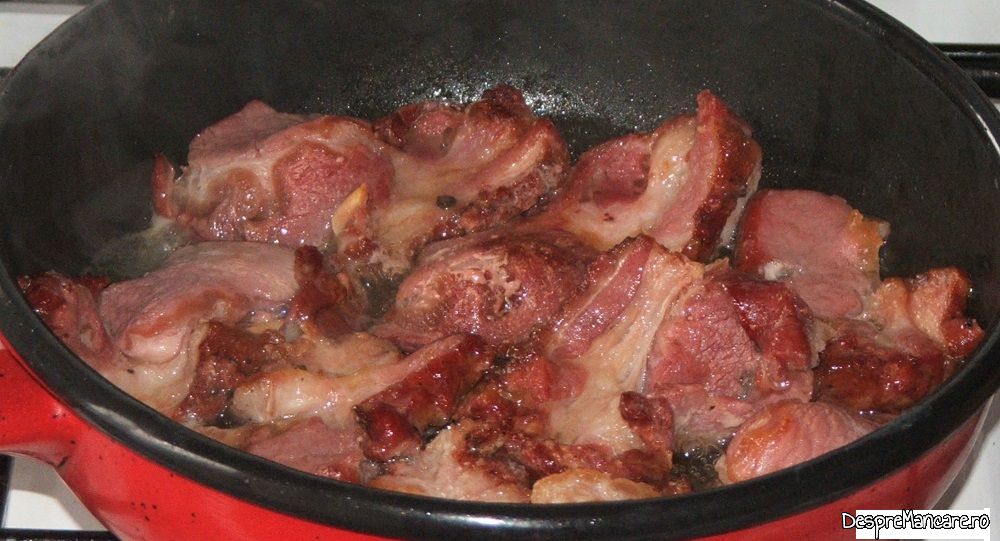pastrama de oaie cu mamaliga si ou de curca 5