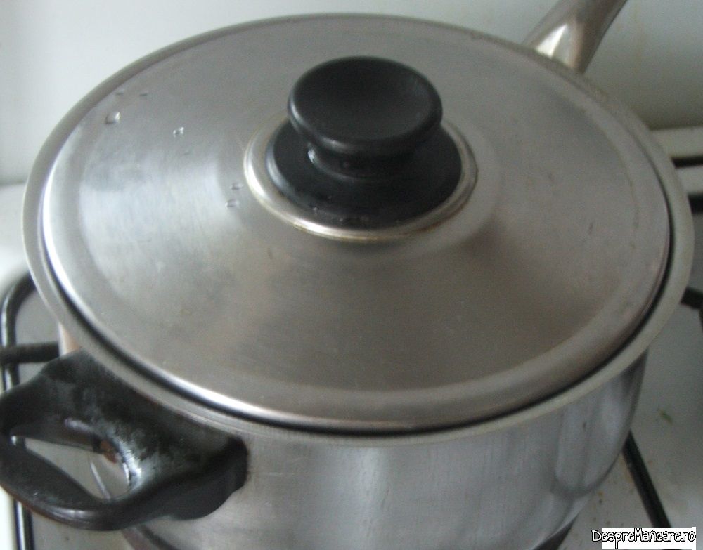 gat de oaie cu legume infundat in vin 6