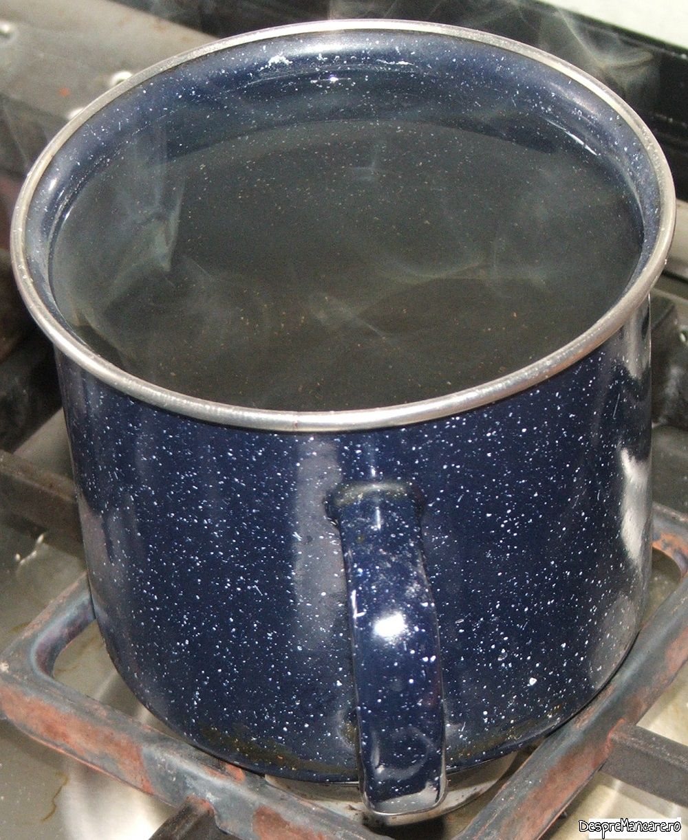 gusa de porc macerata in saramura slaba si apoi fiarta 4