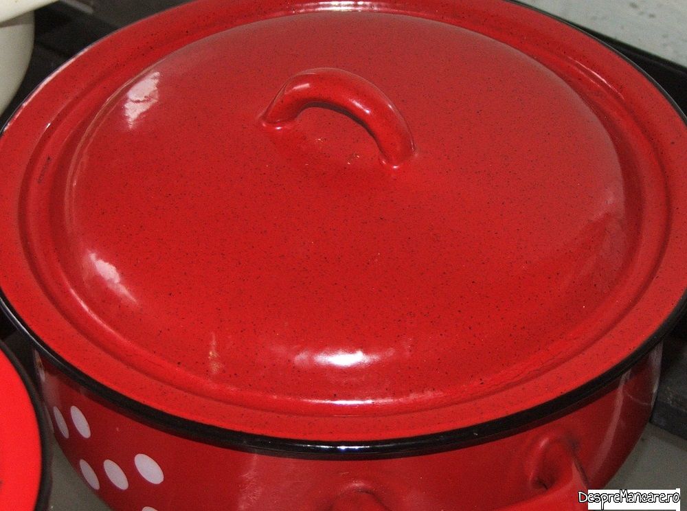 iepure la cuptor cu tocanita de ghebe 4